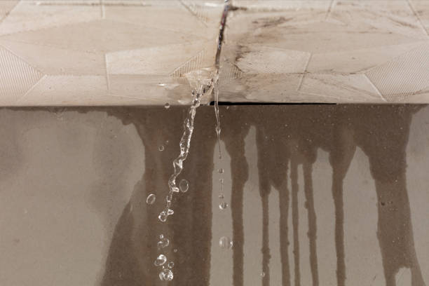 Professional Flood Damage Cleanup technician working in Carmine, TX